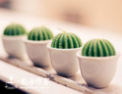 ���� ��Ƽ�